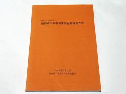 池内横穴墓群発掘調査整理報告書