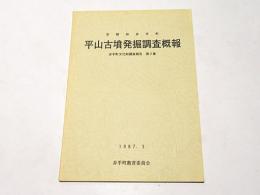 京都府井手町　平山古墳発掘調査概報