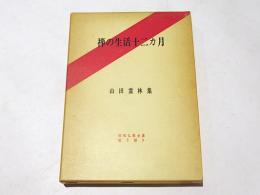 禅の生活十二カ月 : 山田霊林集