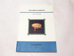 奈良市埋蔵文化財調査年報　平成20年度