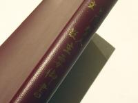 日隆聖人文段　主要御書