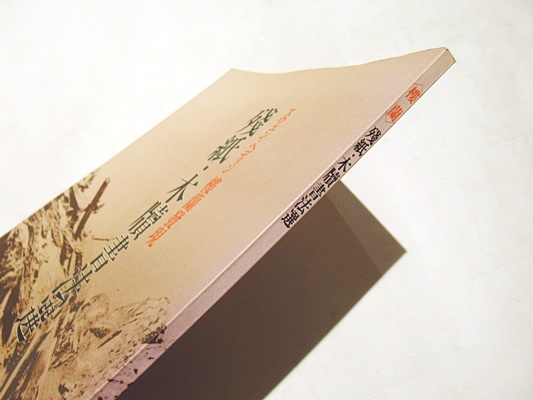 スウェン・ヘディン楼蘭発現 残紙・木牘書法選 / 古本、中古本