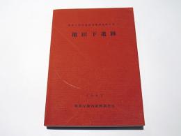 池田下遺跡　和泉丘陵内遺跡発掘調査報告書1