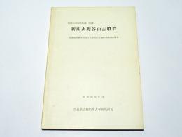 新庄火野谷山古墳群 : 北葛城郡新庄町寺口火野谷山古墳群発掘調査報告　奈良県文化財調査報告書　第31集