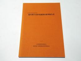 池内横穴墓群発掘調査整理報告書