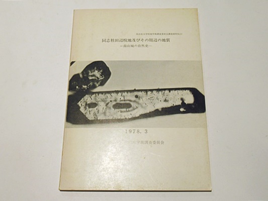 親鸞聖人御絵伝 (掛軸) / 藤沢書店 / 古本、中古本、古書籍の