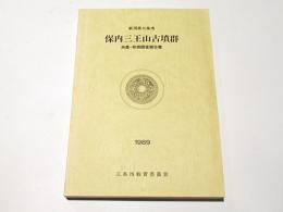 保内三王山古墳群 : 測量・発掘調査報告書