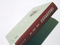 漢魏洛陽城遺址研究　(中文)