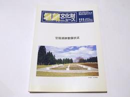 埋蔵文化財ニュース111　官衙遺跡整備状況