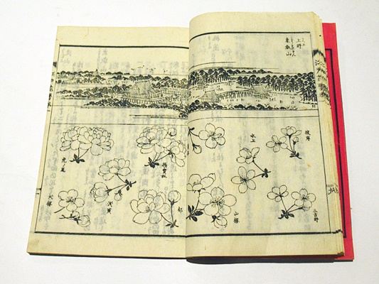 江戸名所花暦 (和本)(岡山鳥編 長谷川雪旦画) / 古本、中古本 江戸名所花暦 (和本)(岡山鳥編 長谷川雪旦画) / 古本、中古本