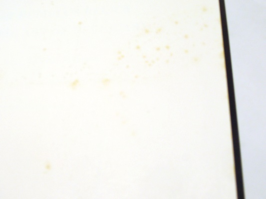 仏舎利の荘厳(奈良国立博物館 編) / 古本、中古本、古書籍の通販は