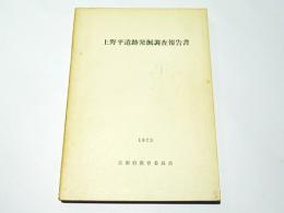 上野平遺跡発掘調査報告書