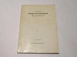 京都府綾部市青野遺跡A地点発掘調査報告書