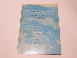 糸谷古墳群 第2次発掘調査慨報