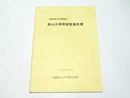 椎山古墳群調査報告書