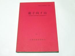 龍子向イ山