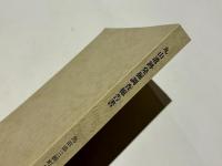 丸山遺跡発掘調査報告書
