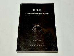 向北原 : 古墳時代前期集落跡発掘調査の記録