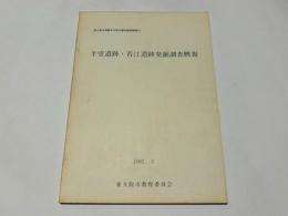 半堂遺跡・若江遺跡発掘調査概報　東大阪市埋蔵文化財包蔵地調査概要23