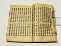 禅林著語典型