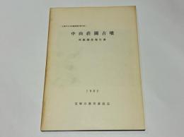 中山荘園古墳 : 発掘調査報告書