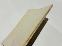 兼田遺跡調査報告書　－兵庫県姫路市兼田－　兵庫県文化財調査報告書　第8冊