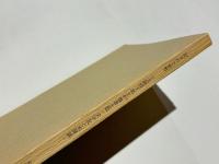 図録・記された世界　－大阪府下出土の墨書土器・文字瓦と木簡展－