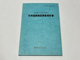 兵庫県出石郡但東町　天神遺跡確認調査報告書　兵庫県但東町文化財調査報告書(5)　