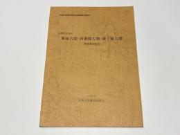 奈良県天理市峯塚古墳・西乗鞍古墳・鑵子塚古墳測量調査報告