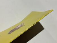 百舌鳥古墳群 : その出土品からさぐる : 平成22年度特別企画展