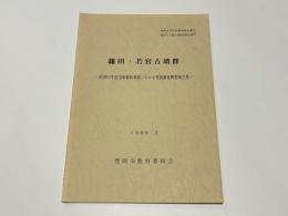 鎌田・若宮古墳群 : 昭和63年度国庫補助事業にかかる発掘調査概要報告書