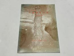 古墳時代の鉄 : 王と民衆の鉄器