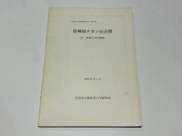 佐味田ナガレ山古墳　－付 倉塚2号円筒棺－　奈良県文化財調査報告書　第26集
