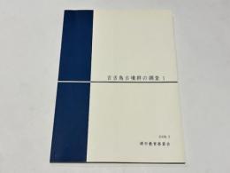 百舌鳥古墳群の調査1