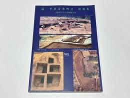 捄　市原古墳群2　総括篇