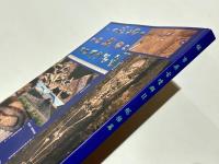 捄　市原古墳群2　総括篇