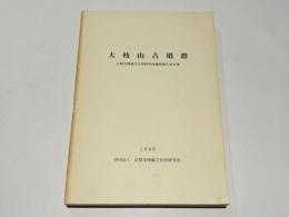 大枝山古墳群　京都市埋蔵文化財研究所調査報告第8冊 (