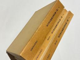 丁・柳ヶ瀬遺跡発掘調査報告書
