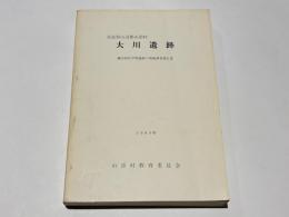 奈良県山辺郡 山添村大川遺跡  縄文時代早期遺跡の発掘調査報告書