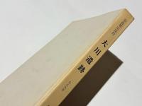 奈良県山辺郡 山添村大川遺跡  縄文時代早期遺跡の発掘調査報告書