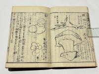 雲根志　前編・後編
