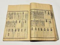 浄土伝燈総系譜 改正