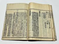 浄土伝燈総系譜 改正