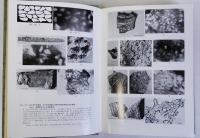 養蚕の起源と古代絹