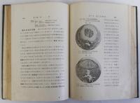 兎の繁殖(兎の蕃殖)