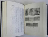 大坂城の歴史と構造