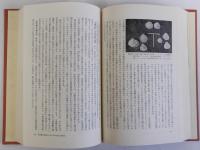 縄文土器文化研究序説