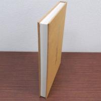 近江の障壁画