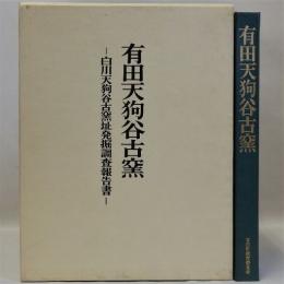 有田天狗谷古窯(白川天狗谷古窯址発掘調査報告書)