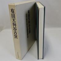 有田天狗谷古窯(白川天狗谷古窯址発掘調査報告書)